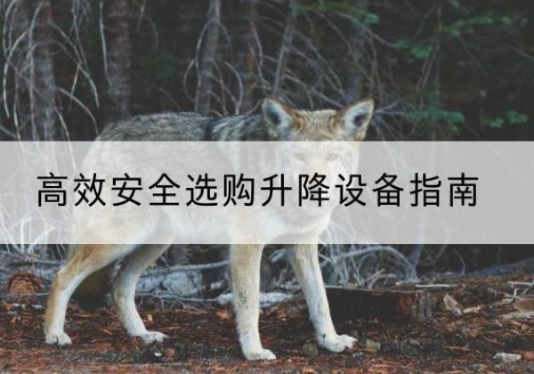 资源升降货梯厂家推荐-*安全选购升降设备指南