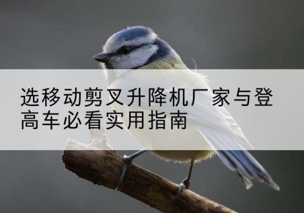 资源电动升降机厂家-选移动剪叉升降机厂家与登高车必看实用指南