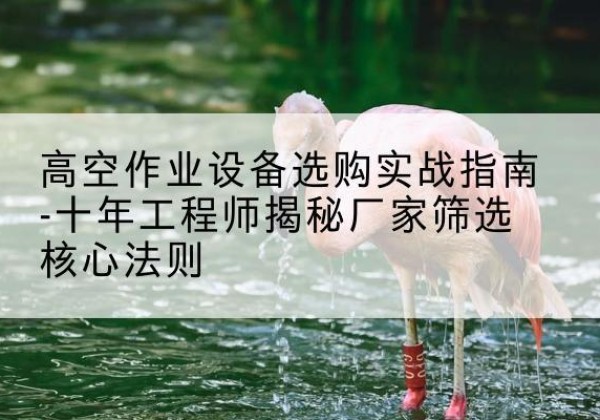 资源剪叉式升降机厂家-高空作业设备选购实战指南-十年工程师揭秘厂家筛选核心法则